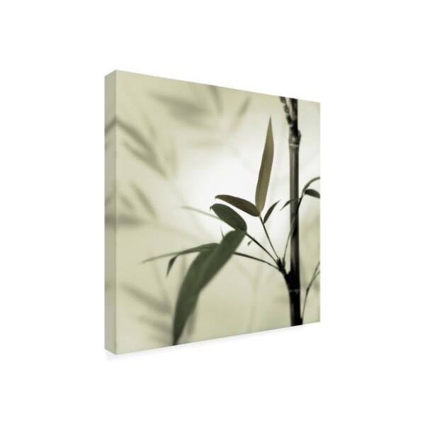 Alan Blaustein 'Bamboo #1' Canvas Art,18x18